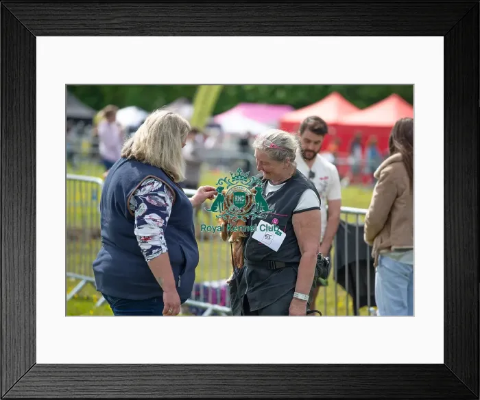 Framed Print : Judging Scruffts Family Crossbreed Competition Framed Print : Judging Scruffts Family Crossbreed Competition