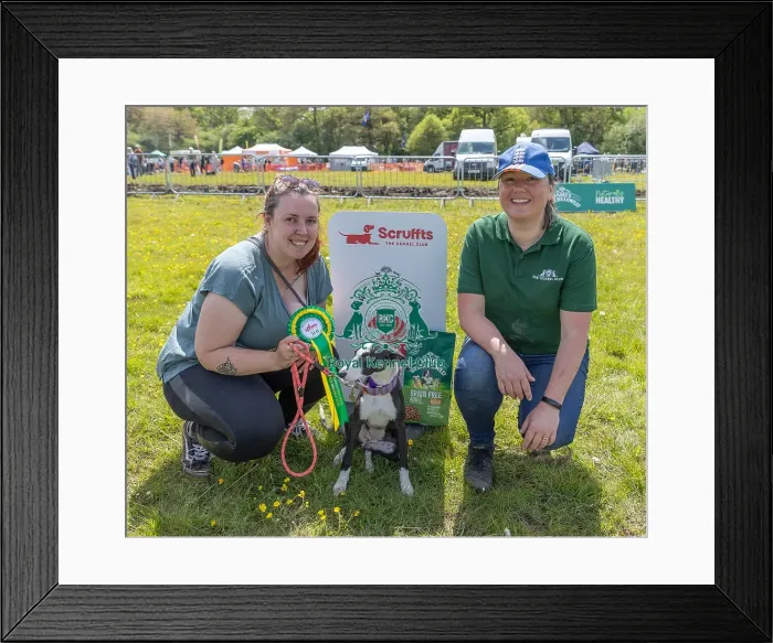 Framed Print : Dog Name: Lola Chelmsford Third Place James Wellbeloved Framed Print : Dog Name: Lola Chelmsford Third Place James Wellbeloved