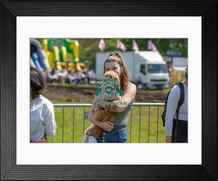 Framed Print : Prettiest Crossbreed Bitch Class Dog And Owner Framed Print : Prettiest Crossbreed Bitch Class Dog And Owner