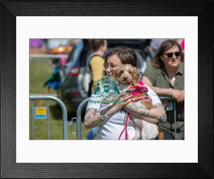 Framed Print : Prettiest Crossbreed Bitch Class Dog And Owner Framed Print : Prettiest Crossbreed Bitch Class Dog And Owner