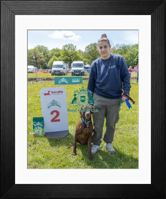 Framed Print : Owner Name: Kirsty Adams Second Place Dog Name: Baker Framed Print : Owner Name: Kirsty Adams Second Place Dog Name: Baker