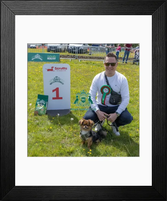 Framed Print : Owner Name: Edward Drescher Dog Name: Leo Scruffts Family Crossbreed Competition Framed Print : Owner Name: Edward Drescher Dog Name: Leo Scruffts Family Crossbreed Competition