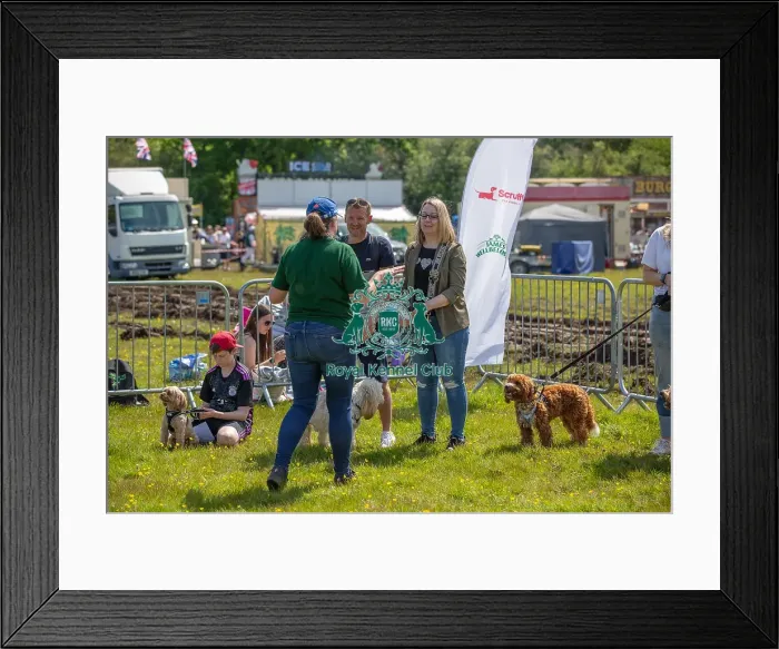 Framed Print : Chelmsford Dog And Owner Hylands Park Judging Framed Print : Chelmsford Dog And Owner Hylands Park Judging