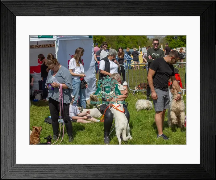 Framed Print : Prettiest Crossbreed Bitch Class Dog And Owner Framed Print : Prettiest Crossbreed Bitch Class Dog And Owner