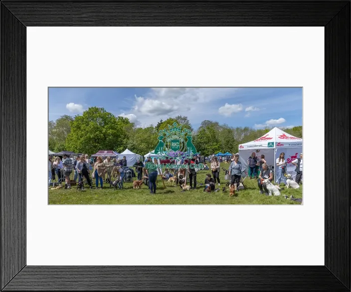 Framed Print : Judging Scruffts Family Crossbreed Competition Framed Print : Judging Scruffts Family Crossbreed Competition