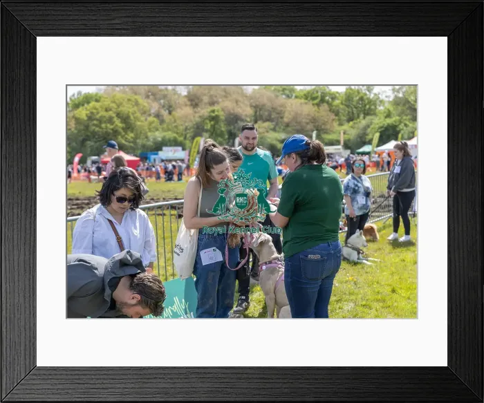 Framed Print : Judging Scruffts Family Crossbreed Competition Framed Print : Judging Scruffts Family Crossbreed Competition