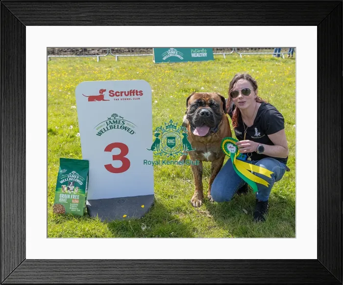 Framed Print : Dog Name: Frankie Chelmsford Third Place James Wellbeloved
