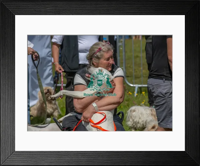 Framed Print : Prettiest Crossbreed Bitch Class Dog And Owner Framed Print : Prettiest Crossbreed Bitch Class Dog And Owner