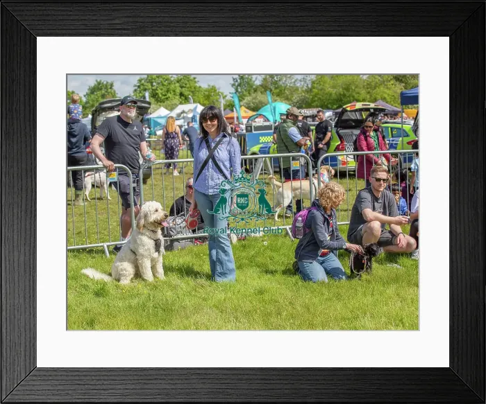 Framed Print : Most Handsome Crossbreed Dog Class Chelmsford