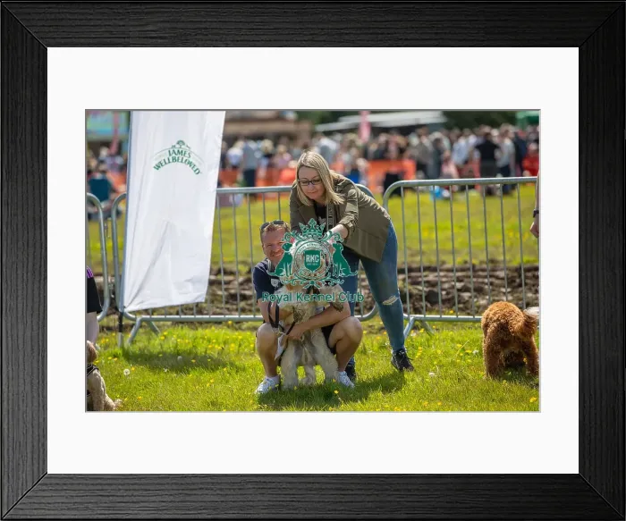 Framed Print : James Wellbeloved Most Handsome Crossbreed Dog Class