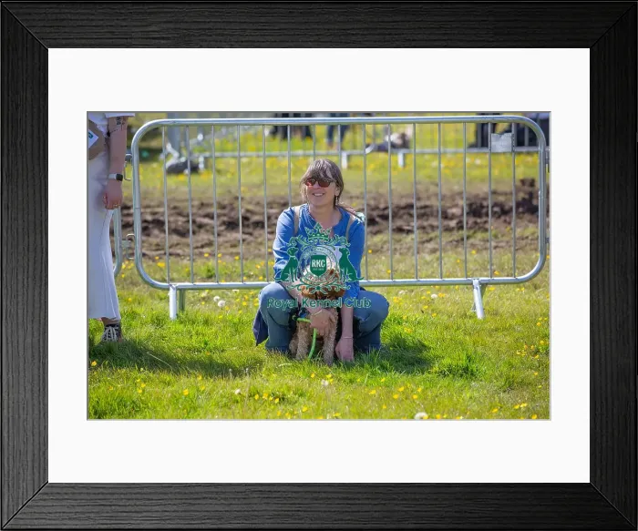 Framed Print : Most Handsome Crossbreed Dog Class Chelmsford