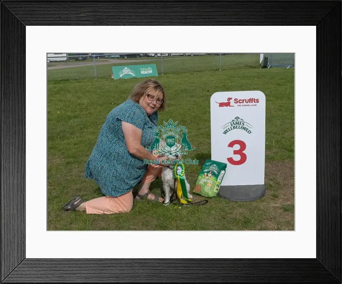 Framed Print : Good Citizen Dog Scheme Class Owner Name: Paula Robb Framed Print : Good Citizen Dog Scheme Class Owner Name: Paula Robb