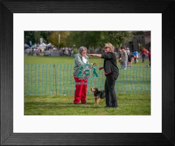 Framed Print : Good Citizen Dog Scheme Class Sunday 15th September 2024