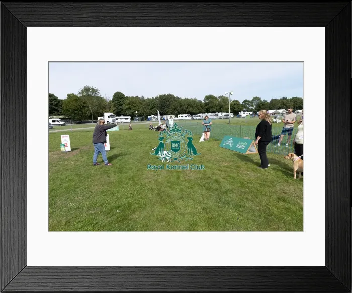 Framed Print : Good Citizen Dog Scheme Class Sunday 15th September 2024