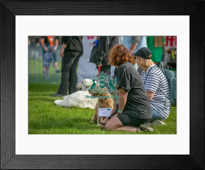 Framed Print : Sponsor Name James Wellbeloved Sunday 15th September 2024 Framed Print : Sponsor Name James Wellbeloved Sunday 15th September 2024