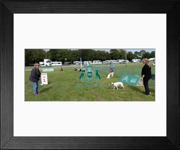 Framed Print : Good Citizen Dog Scheme Class Sunday 15th September 2024