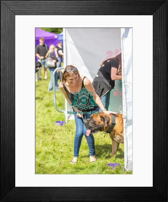 Framed Print : Hylands Park 5th May 2024 Scruffts Family Crossbreed Competition Framed Print : Hylands Park 5th May 2024 Scruffts Family Crossbreed Competition