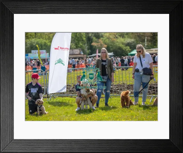 Framed Print : James Wellbeloved Most Handsome Crossbreed Dog Class