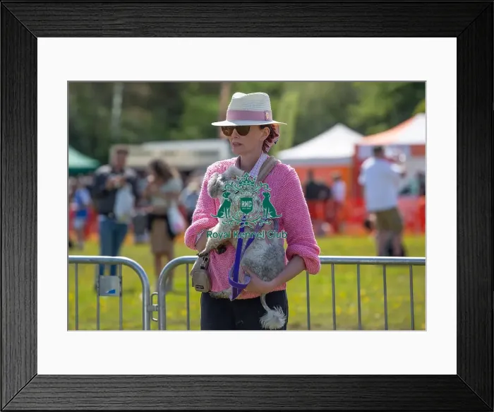 Framed Print : Most Handsome Crossbreed Dog Class Chelmsford