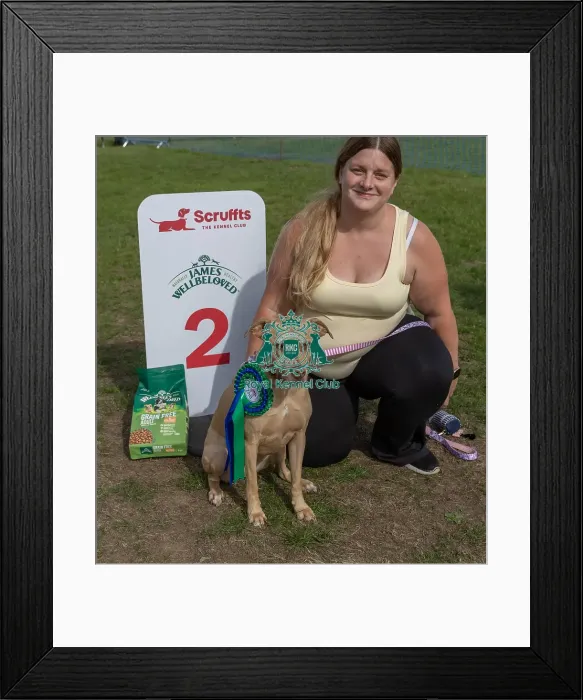 Framed Print : Good Citizen Dog Scheme Class Sunday 15th September 2024 Framed Print : Good Citizen Dog Scheme Class Sunday 15th September 2024