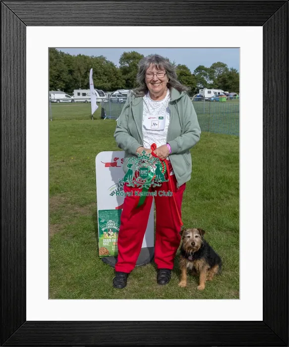 Framed Print : Good Citizen Dog Scheme Class Sunday 15th September 2024