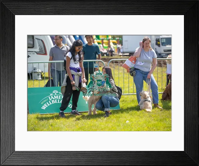 Framed Print : James Wellbeloved Most Handsome Crossbreed Dog Class