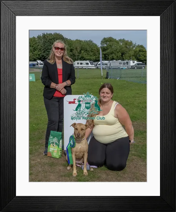 Framed Print : Good Citizen Dog Scheme Class Sunday 15th September 2024 Framed Print : Good Citizen Dog Scheme Class Sunday 15th September 2024