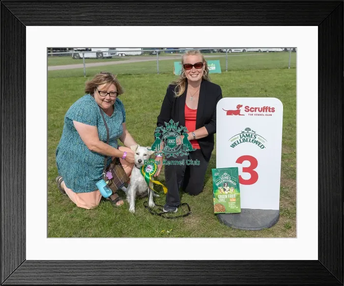 Framed Print : Good Citizen Dog Scheme Class Owner Name: Paula Robb