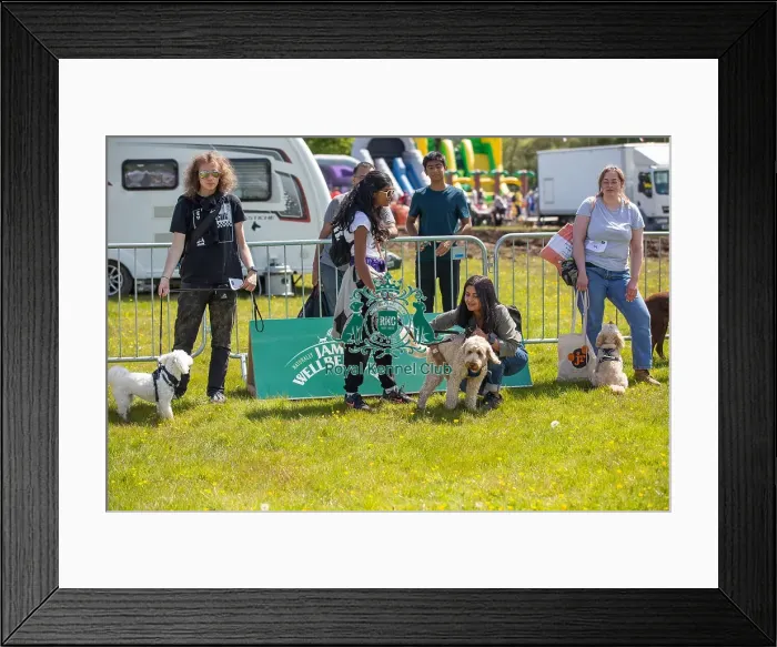 Framed Print : James Wellbeloved Most Handsome Crossbreed Dog Class Framed Print : James Wellbeloved Most Handsome Crossbreed Dog Class