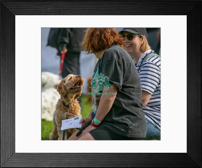 Framed Print : Sponsor Name James Wellbeloved Sunday 15th September 2024 Framed Print : Sponsor Name James Wellbeloved Sunday 15th September 2024