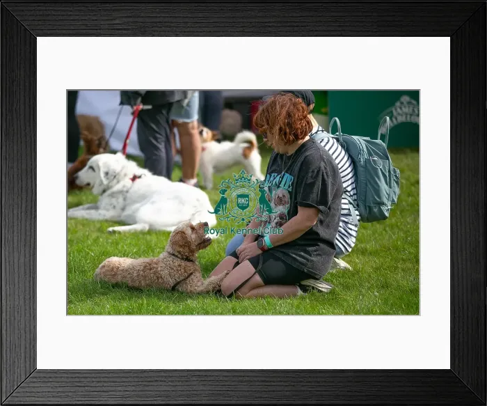 Framed Print : Sponsor Name James Wellbeloved Sunday 15th September 2024 Framed Print : Sponsor Name James Wellbeloved Sunday 15th September 2024