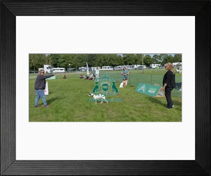 Framed Print : Good Citizen Dog Scheme Class Sunday 15th September 2024