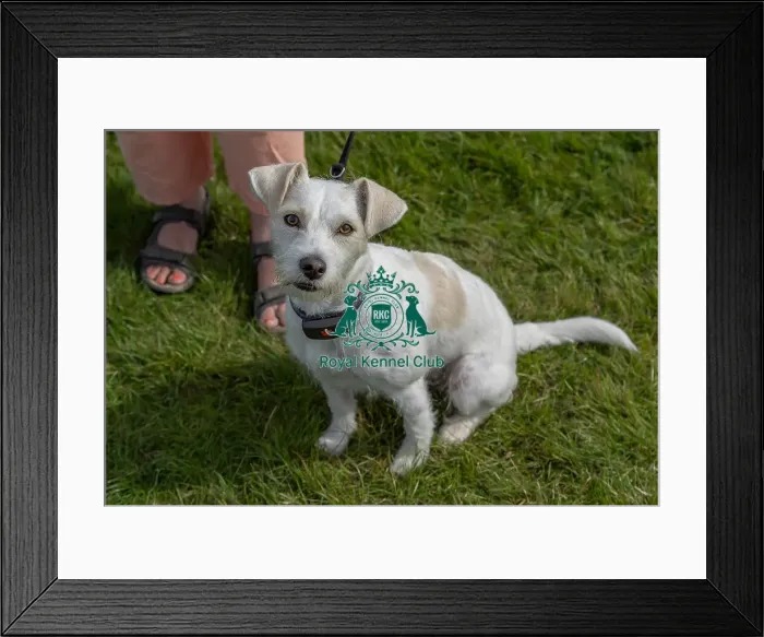 Framed Print : Owner Name: Paula Robb Sunday 15th September 2024 Framed Print : Owner Name: Paula Robb Sunday 15th September 2024