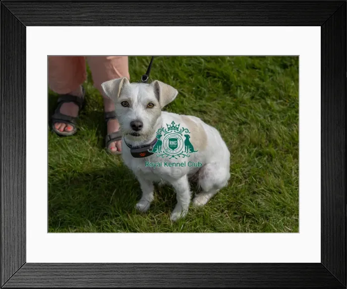 Framed Print : Owner Name: Paula Robb Sunday 15th September 2024 Framed Print : Owner Name: Paula Robb Sunday 15th September 2024