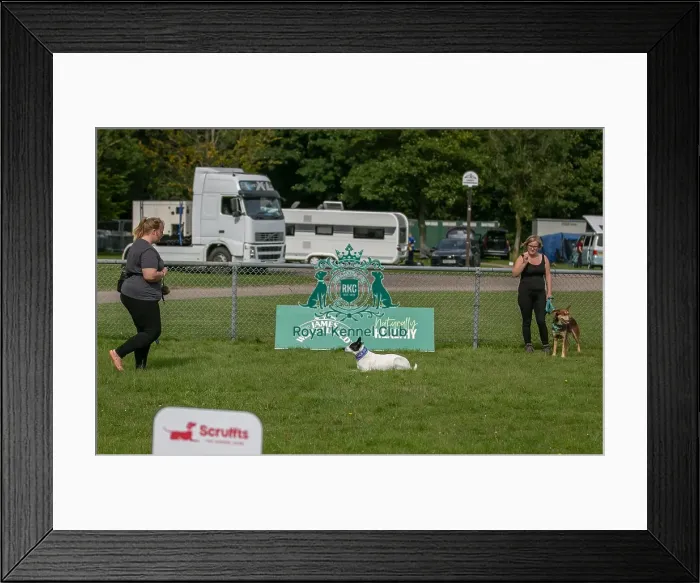 Framed Print : Good Citizen Dog Scheme Class Sunday 15th September 2024 Framed Print : Good Citizen Dog Scheme Class Sunday 15th September 2024