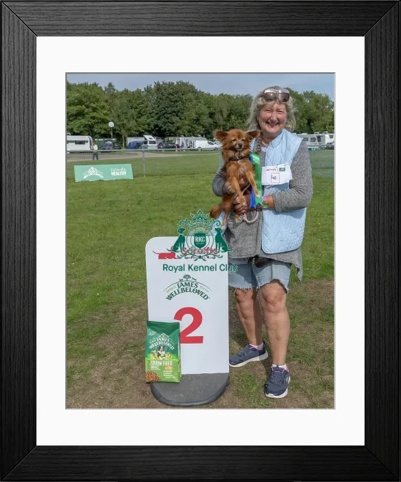 Framed Print : Golder Oldie Class Kennel Club Logo / Branding Framed Print : Golder Oldie Class Kennel Club Logo / Branding