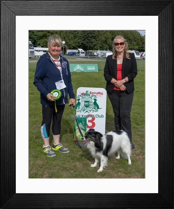 Framed Print : Golder Oldie Class Kennel Club Logo / Branding Framed Print : Golder Oldie Class Kennel Club Logo / Branding