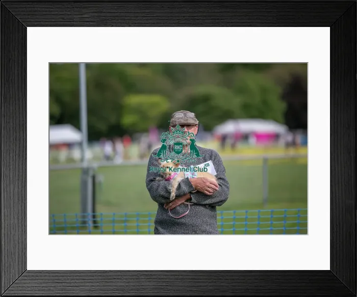 Framed Print : Golder Oldie Class Sunday 15th September 2024 Framed Print : Golder Oldie Class Sunday 15th September 2024