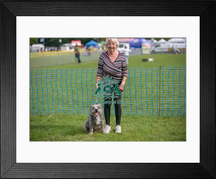 Framed Print : Golder Oldie Class Sunday 15th September 2024