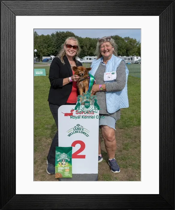 Framed Print : Golder Oldie Class Kennel Club Logo / Branding Framed Print : Golder Oldie Class Kennel Club Logo / Branding