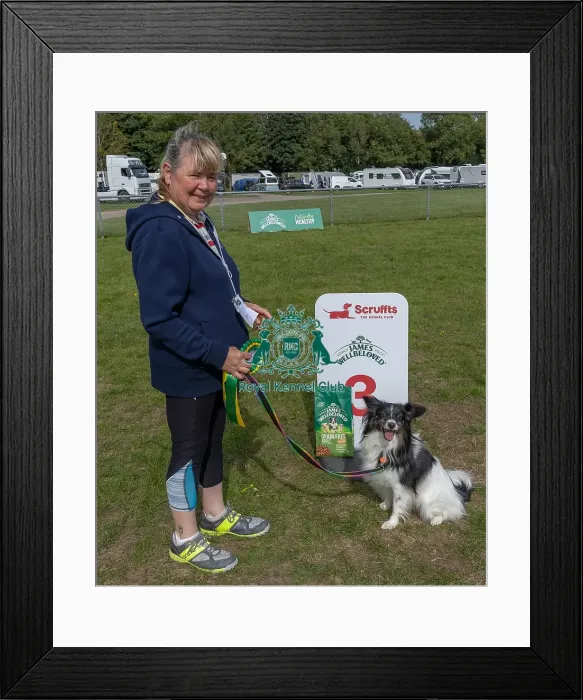 Framed Print : Golder Oldie Class Kennel Club Logo / Branding Framed Print : Golder Oldie Class Kennel Club Logo / Branding