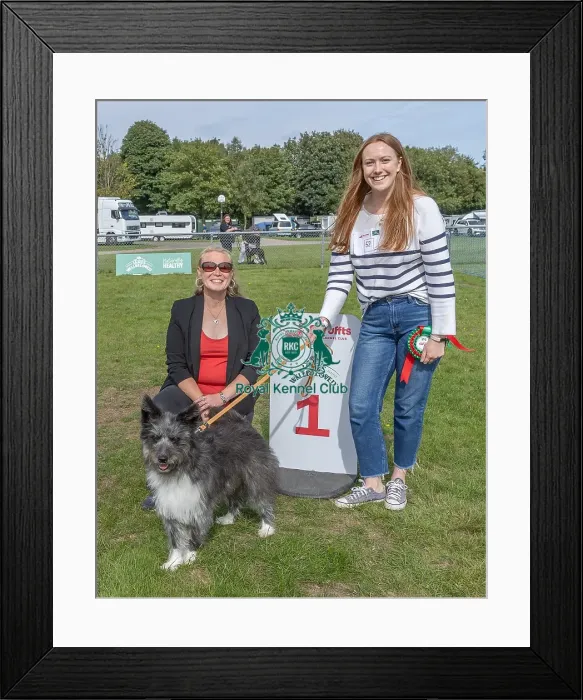 Framed Print : First Placed Sunday 15th September 2024 Kennel Club Logo / Branding Framed Print : First Placed Sunday 15th September 2024 Kennel Club Logo / Branding