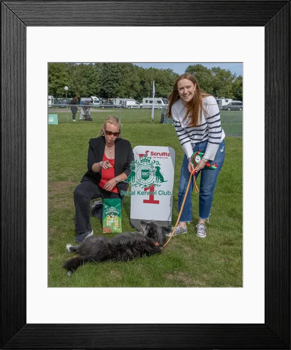 Framed Print : First Placed Sunday 15th September 2024 Kennel Club Logo / Branding Framed Print : First Placed Sunday 15th September 2024 Kennel Club Logo / Branding