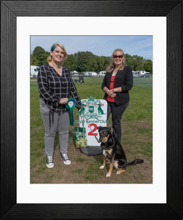 Framed Print : Sunday 15th September 2024 Kennel Club Logo / Branding Framed Print : Sunday 15th September 2024 Kennel Club Logo / Branding