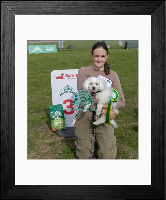 Framed Print : Dog Name: Memphis Kennel Club Logo / Branding Third Place