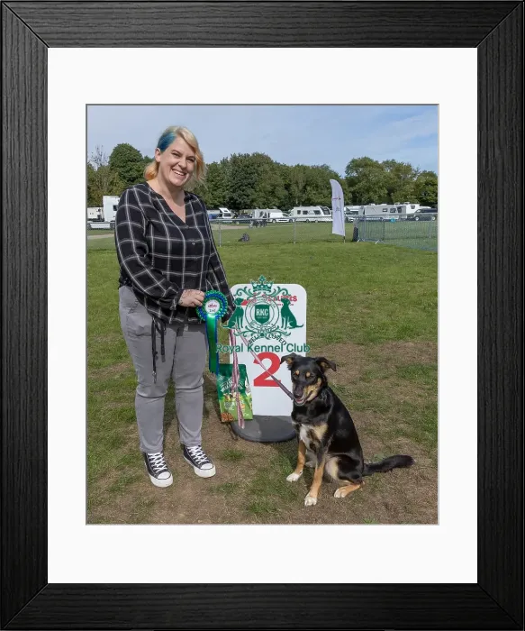 Framed Print : Sunday 15th September 2024 Kennel Club Logo / Branding Framed Print : Sunday 15th September 2024 Kennel Club Logo / Branding