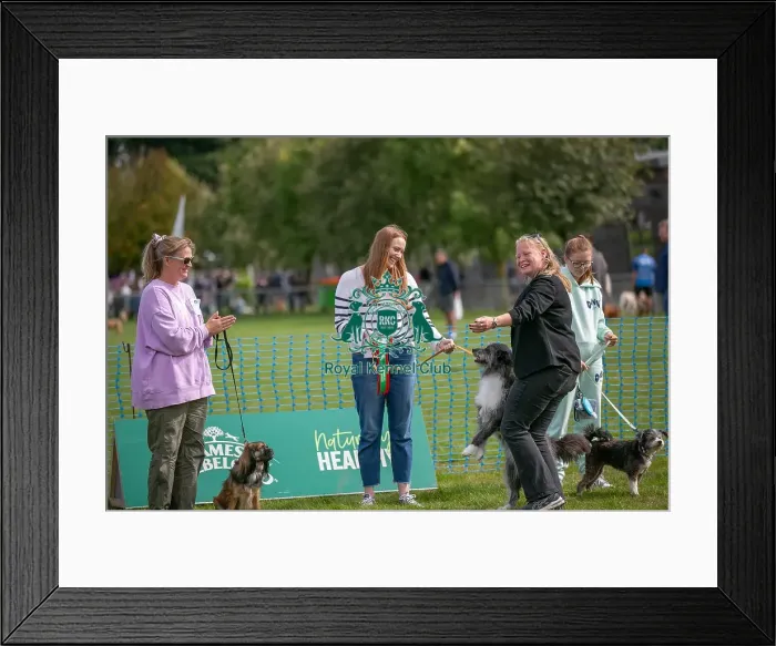 Framed Print : Sunday 15th September 2024 Kennel Club Logo / Branding Framed Print : Sunday 15th September 2024 Kennel Club Logo / Branding