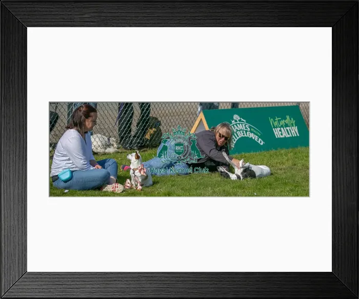 Framed Print : Sponsor Name James Wellbeloved Sunday 15th September 2024 Framed Print : Sponsor Name James Wellbeloved Sunday 15th September 2024