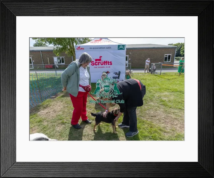 Framed Print : Sponsor Name James Wellbeloved Sunday 15th September 2024 Framed Print : Sponsor Name James Wellbeloved Sunday 15th September 2024