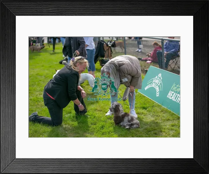 Framed Print : Sponsor Name James Wellbeloved Sunday 15th September 2024 Framed Print : Sponsor Name James Wellbeloved Sunday 15th September 2024